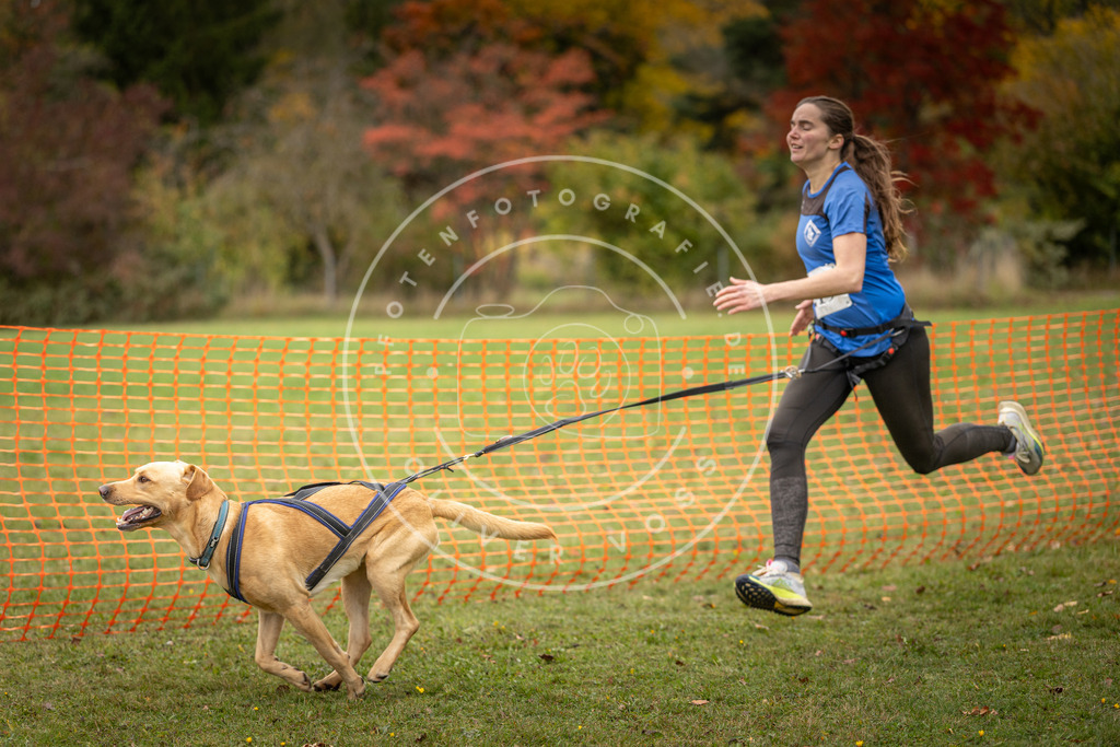 Pfotenfotografie_DV3A4669 | Hundefotografie, Tierfotograf, Pfotenfotografie, Fotoshooting Hund, Hunde Portrait, Hundesport, Hundeportraits, Heideshooting, Hunde, Sportfotograf, Hundefotograf, Turnierhundsport, THS,  - Realisiert mit Pictrs.com