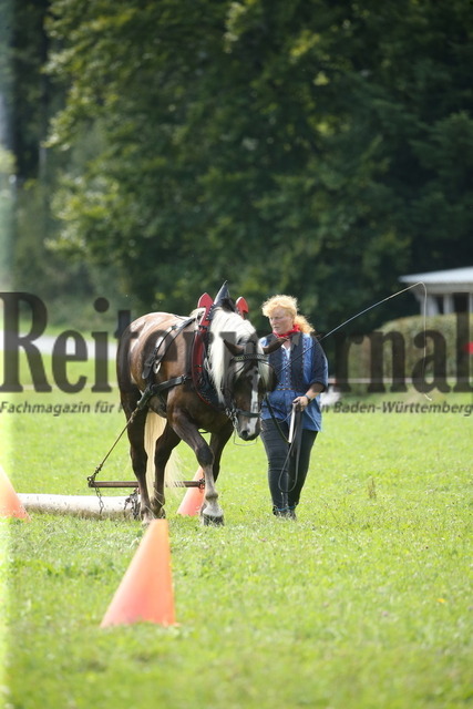 Leistungsprüfung_Sankt Märgen_2022_KN_06_Lissy (8) | Alle Fotos der Reiterjournal Fotografin Doris Matthaes im Reiterjournal Online-Fotoshop. - Realisiert mit Pictrs.com