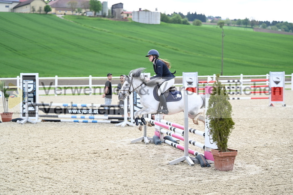 DSC_0403 | equestrian-live-com