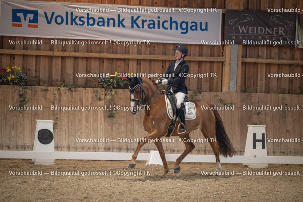 _D5A6140 | Emotionale Pferde- & People-Fotografie rund um Heidelberg, Leimen & Umgebung. Natürliche Fotos von Pferd, Mensch & Familie. Jetzt Termin sichern!