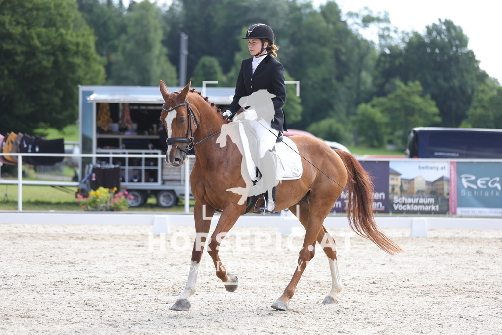 0P6A5001 | Willkommen bei Brunnmayr - Design & Fotografie – Ihrem Spezialisten für Reitturniere und Pferdeveranstaltungen in Oberösterreich, Salzburg und Bayern! Seit über 17 Jahren sind wir leidenschaftlich dabei.