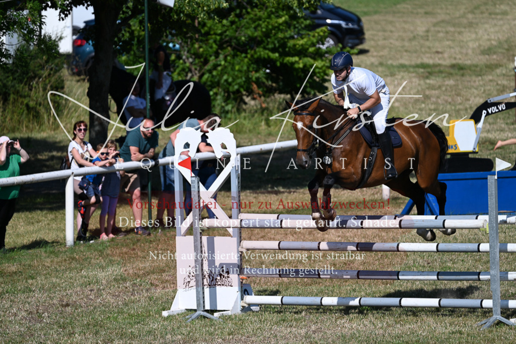 DSC_2183 | Pferde- und Turnierfotografie in Westsachsen. Pferdeportraits, Auftragszeichnungen und intuitive Kunst.