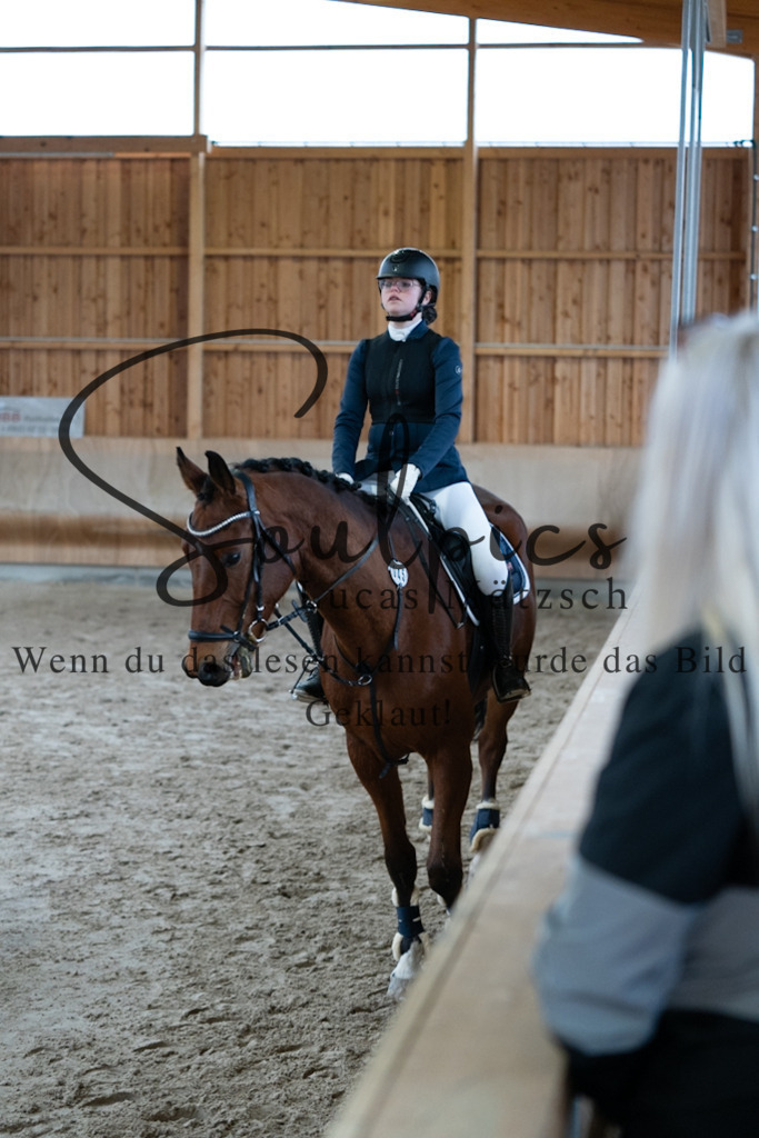 A7V00519 | Pferdefotograf