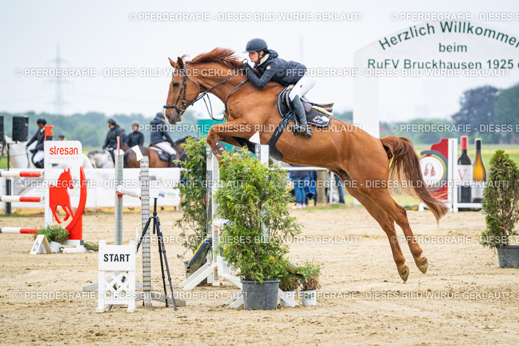 DSC08087 | Pferdegrafie