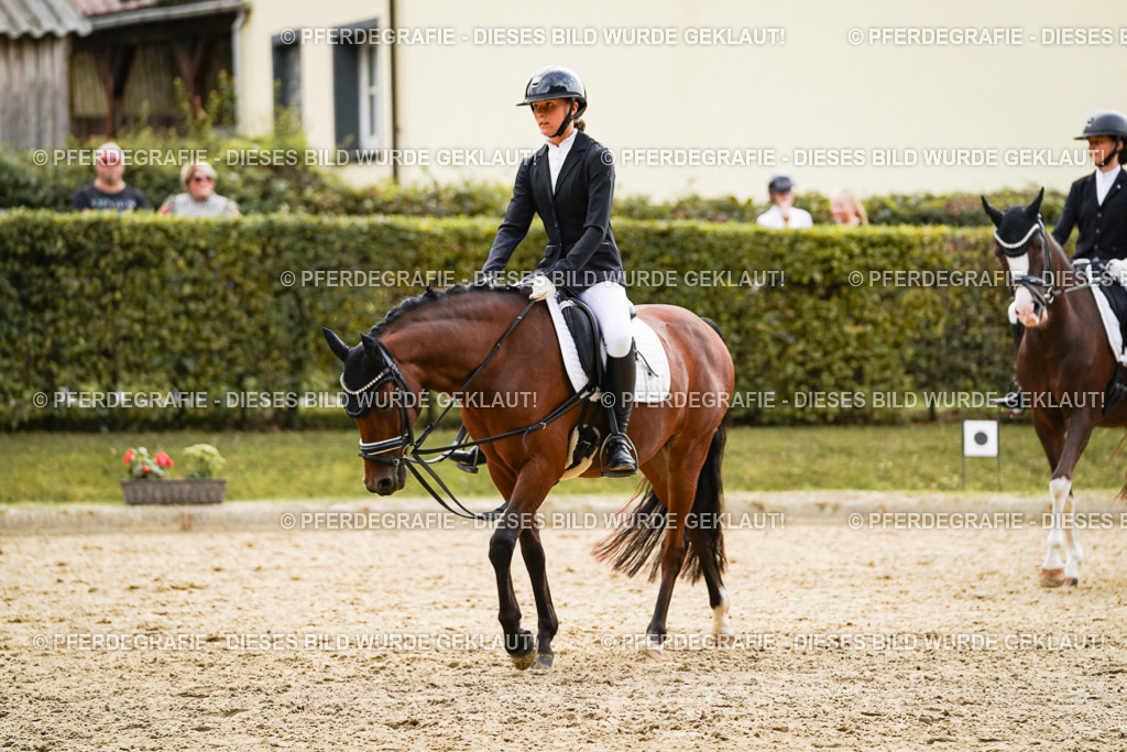 DSC00975 | Pferdegrafie