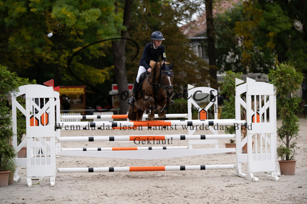 A7V09174 | Pferdefotograf