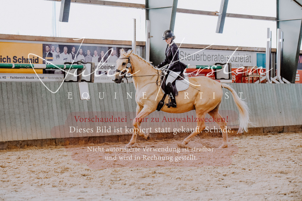 DSC_7672 | Pferde- und Turnierfotografie in Westsachsen. Pferdeportraits, Auftragszeichnungen und intuitive Kunst.