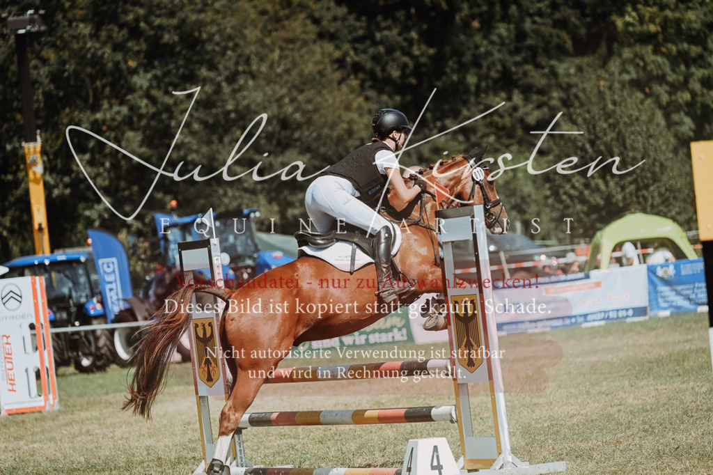 DSC_9938 | Pferde- und Turnierfotografie in Westsachsen. Pferdeportraits, Auftragszeichnungen und intuitive Kunst.