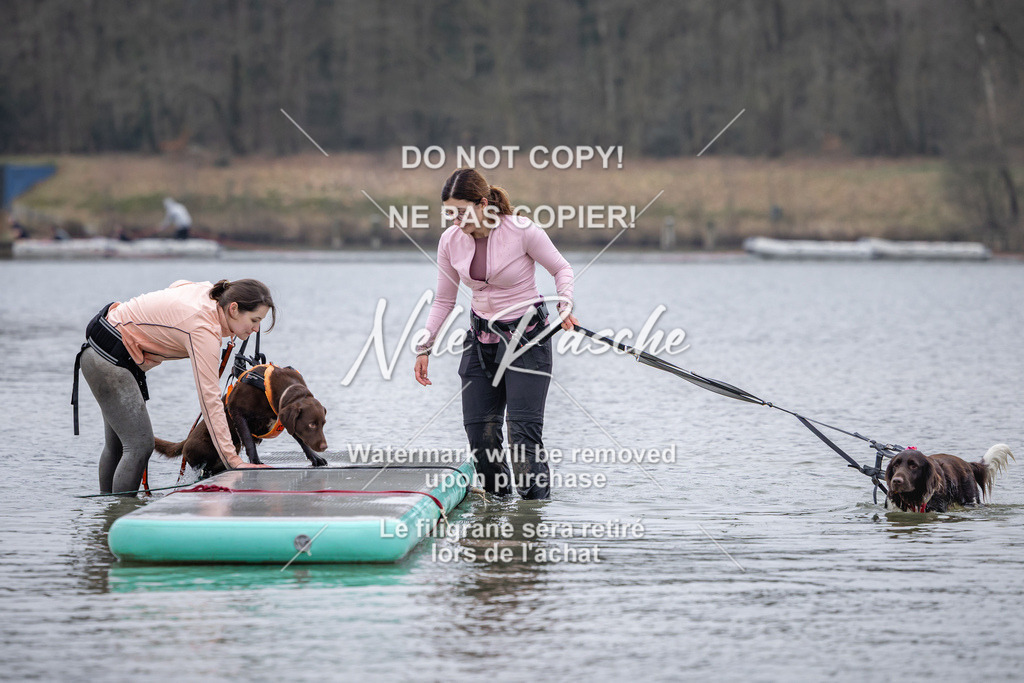 nelerasche_Hulsbeek_Sa1600-1700_167 | nelerasche
