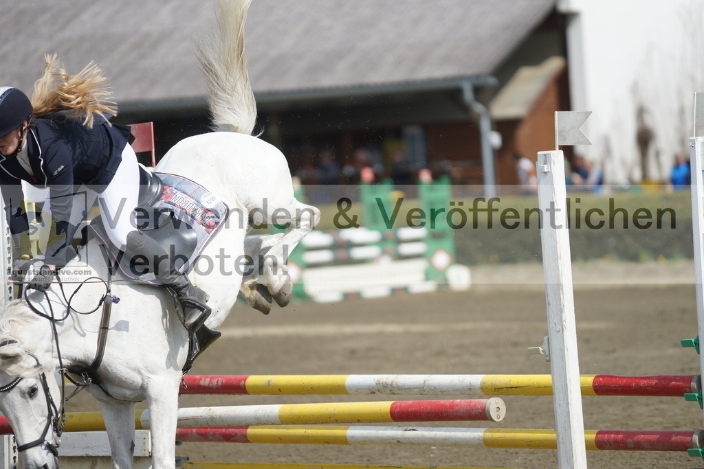 DSC04116 | equestrian-live-com