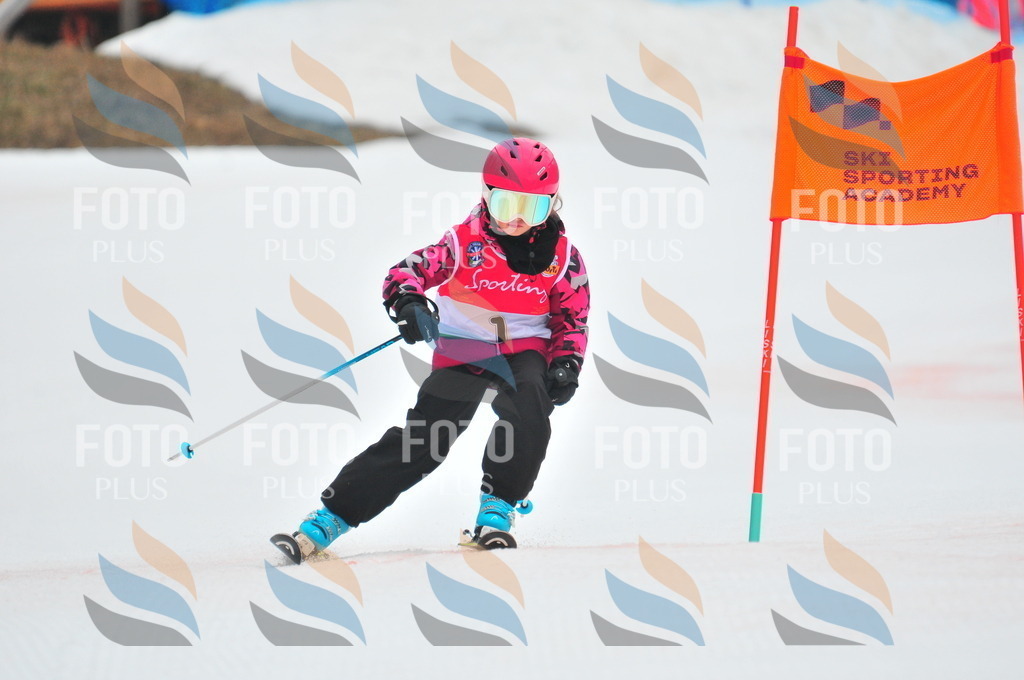 C0380 | holidayphoto