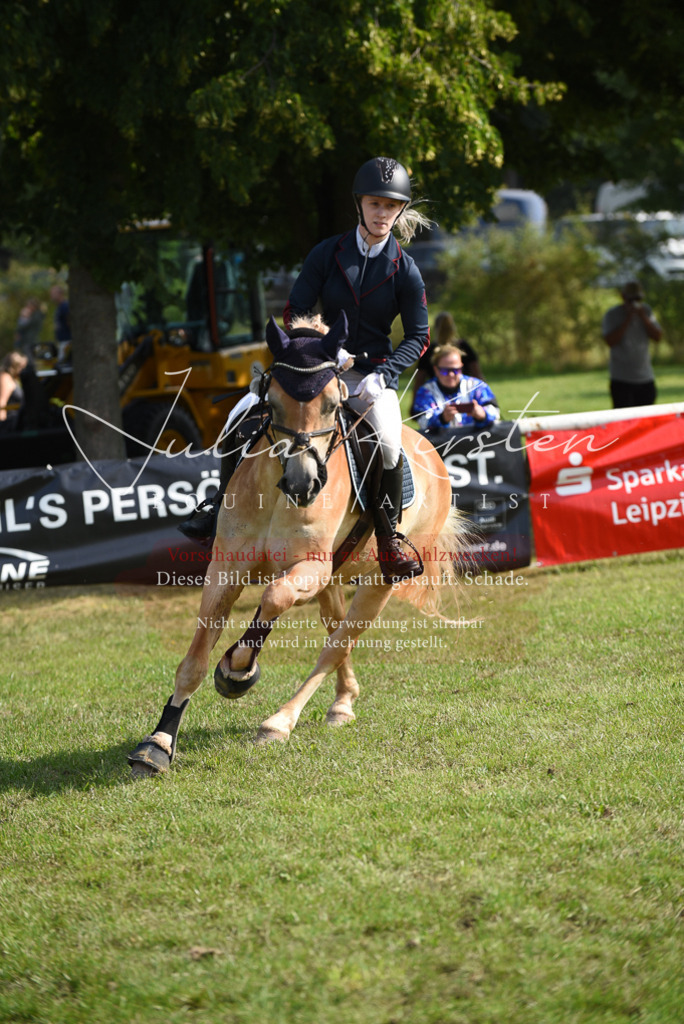 DSC_8893 | Pferde- und Turnierfotografie in Westsachsen. Pferdeportraits, Auftragszeichnungen und intuitive Kunst.