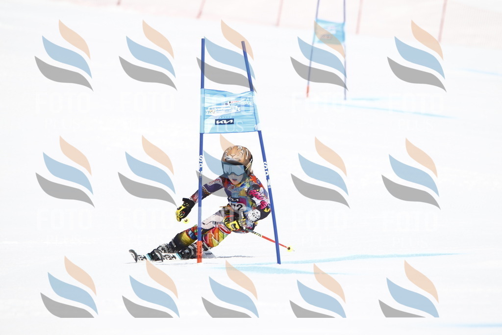 _U3G4538 | holidayphoto