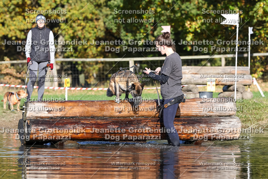 Dog Paparazzi - Strongdog 10-25-8883 | Dog Paparazzi Jeanette Grottendiek Fotografie & Videografie - Realisiert mit Pictrs.com