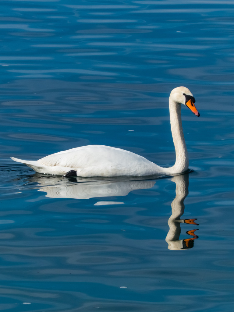 PSX_20230318_235445 | mtkfoto_ - Realisiert mit Pictrs.com