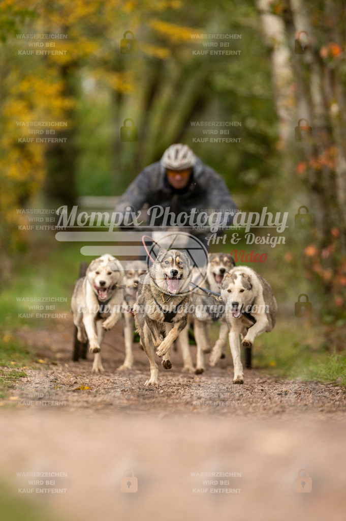 TSB_2023_E4_Kart-18 | mompixphotography