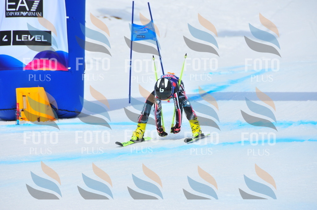 DSC_6385 | holidayphoto