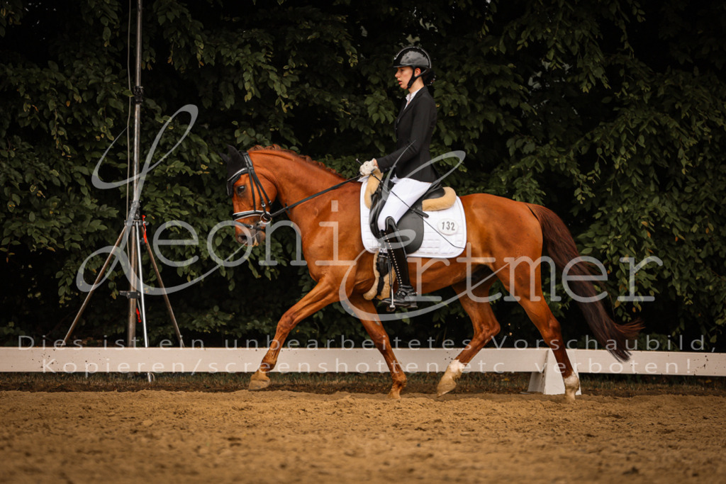 DoDrA00437 | Leoni Ertmer Photography - Realisiert mit Pictrs.com