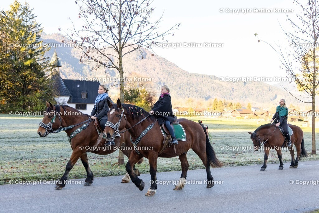 LL24-98 | foto-bettina-krinner - Realisiert mit Pictrs.com