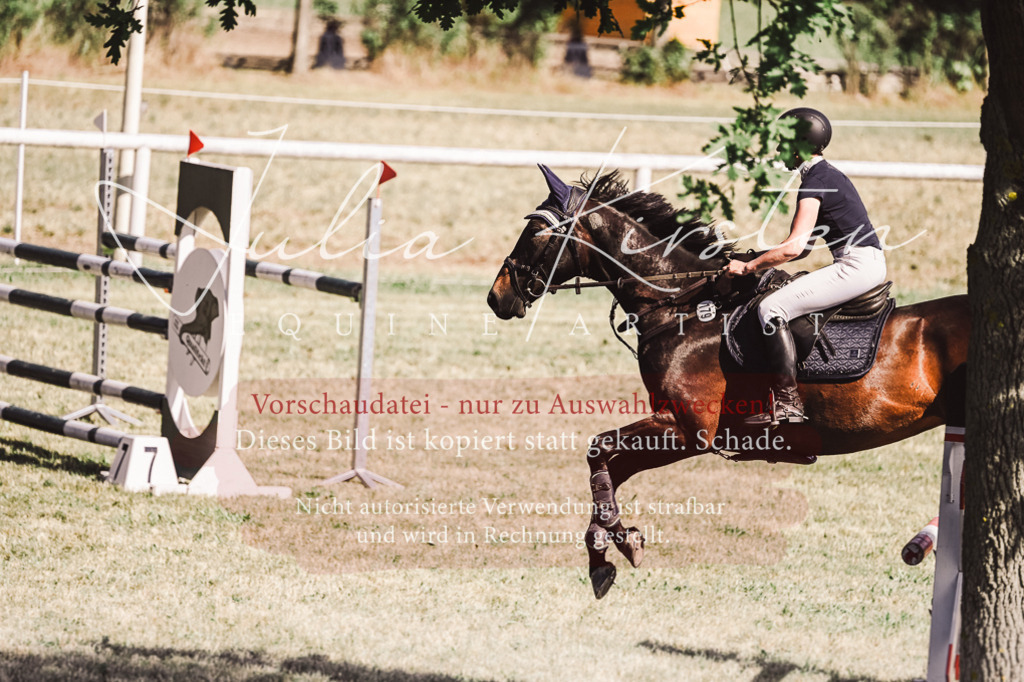 DSC_1837 | Pferde- und Turnierfotografie in Westsachsen. Pferdeportraits, Auftragszeichnungen und intuitive Kunst.