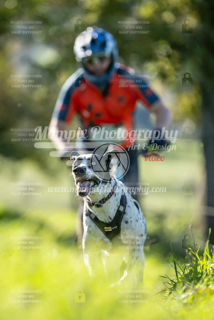 MompixPhotography_20TSB_E3_DS1-65 | PayLife