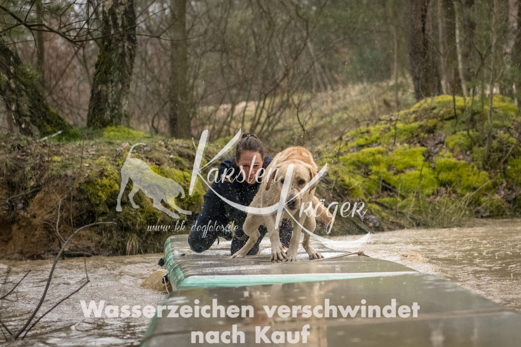1049_ZZ93516-Bearbeitet | kk-dogfotos