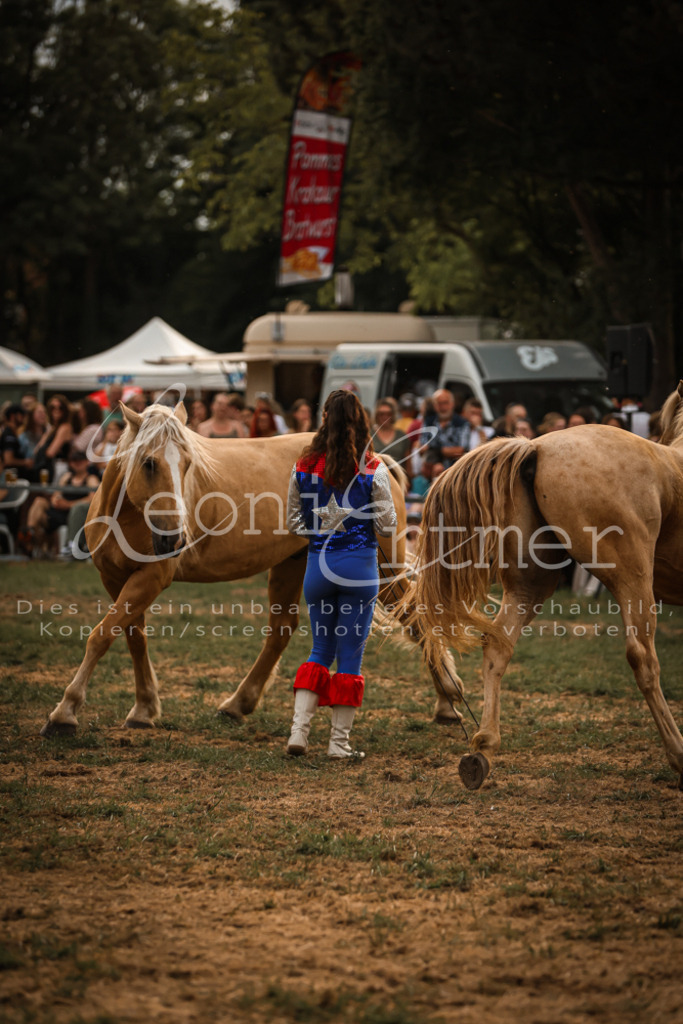 SoProg00059 | Leoni Ertmer Photography - Realisiert mit Pictrs.com