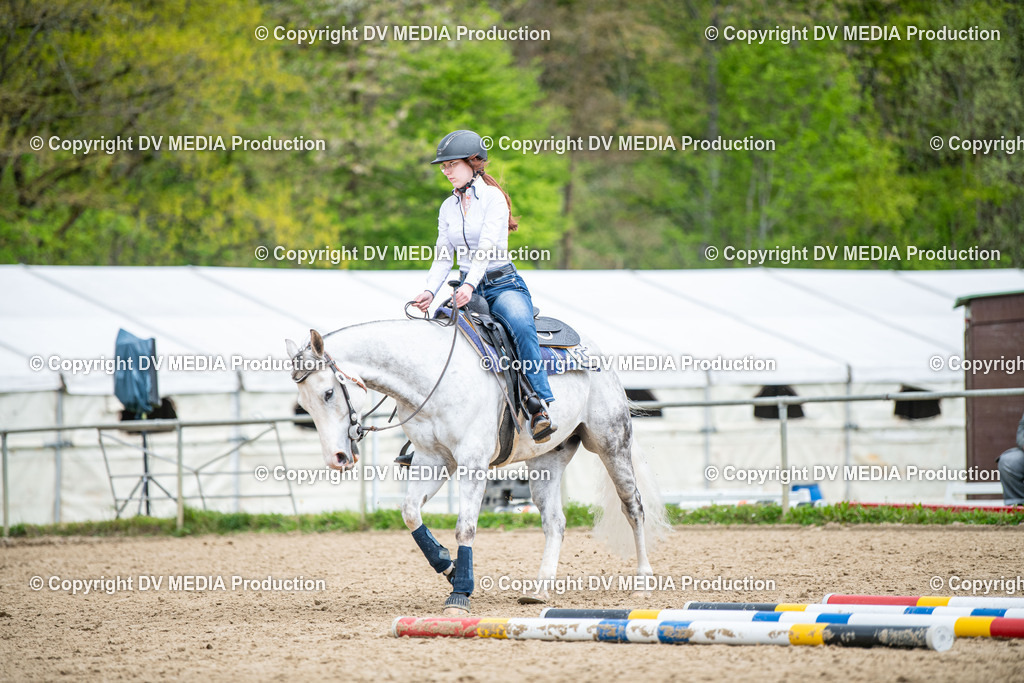 Heiligenwald Tag 1-1269 | dv-media-shop - Realisiert mit Pictrs.com