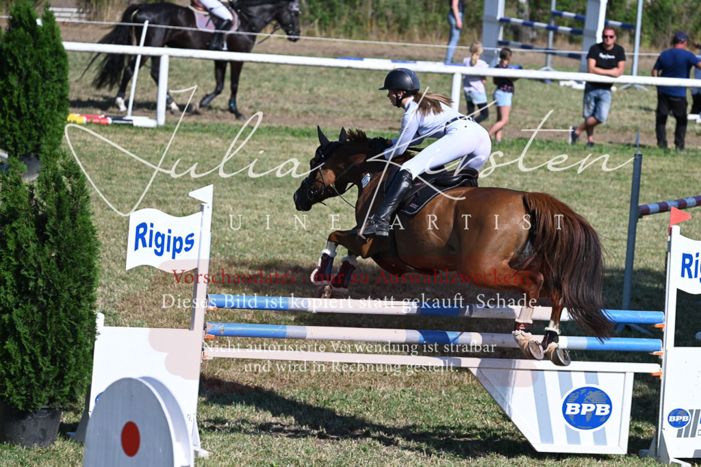 DSC_2303 | Pferde- und Turnierfotografie in Westsachsen. Pferdeportraits, Auftragszeichnungen und intuitive Kunst.