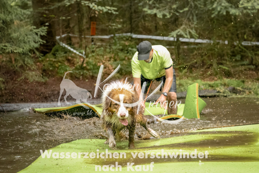 1231_ZZ90041-Bearbeitet | kk-dogfotos