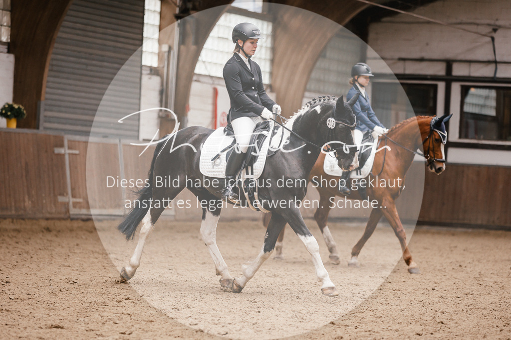 3I6A7366 | Stimmungsvolle Portraits und Reitsportfotografie im Ruhrgebiet und im Münsterland.

Pferdefotografie, Hundefotografie, Tierfotografie, Reportagen, Portraits von Tier und Mensch, Turnierfotografie in Bochum, Recklinghausen, Marl, Haltern am See, Dülmen.. - Realisiert mit Pictrs.com