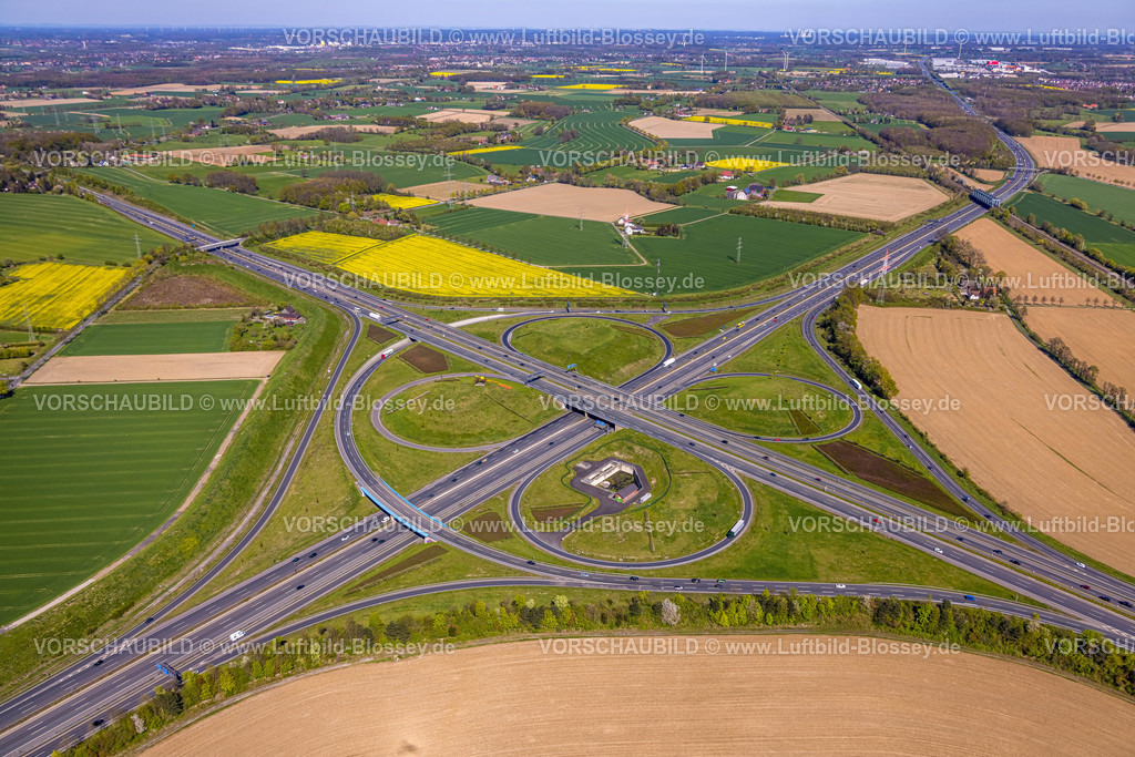 Kamen220403950Rotary | Luftbild, 20.000 Tulpen pflanzten die Kamener Rotarier am Kamener Kreuz unterhalb der ADAC-Hubschrauber-Skulptur. Sie werden in den nächsten Tagen blühen. 
Rotarys Kampf gegen die Kinderlähmung (POLIO Poliomyelitis)
Das größte Projekt, das Rotary in seiner 116-jährigen Geschichte je angepackt hat – der Kampf gegen die Kinderlähmung –, heißt PolioPlus und steht kurz vor dem Ziel: Seit 1988 gelang es mit Hilfe mächtiger Partner wie der Weltgesundheitsorganisation, den größten Teil der Welt durch massive Impfkampagnen von Polio zu befreien. Durch die großen Fortschritte der letzten Jahre rückt das Ziel in greifbare Nähe: Innerhalb der nächsten drei Jahre bis 2023 soll die Übertragungskette weltweit unterbrochen sein. , Kamen, Ruhrgebiet, Nordrhein-Westfalen, Deutschland
