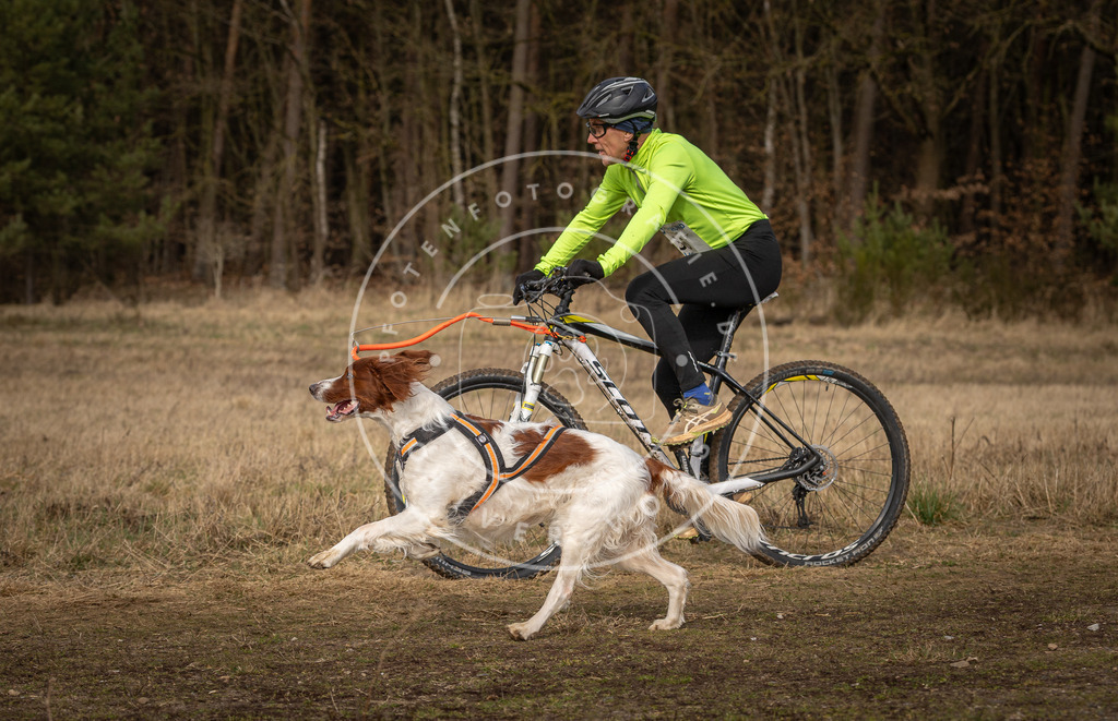 DV3A4595 | Hundefotografie, Tierfotograf, Pfotenfotografie, Fotoshooting Hund, Hunde Portrait, Hundesport, Hundeportraits, Heideshooting, Hunde, Sportfotograf, Hundefotograf, Turnierhundsport, THS,  - Realisiert mit Pictrs.com