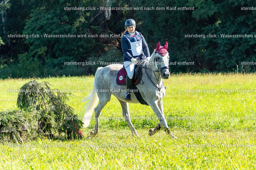 2026-08-08_08-38-17_WBO_Pulsnitz | sternberg.click - Realisiert mit Pictrs.com