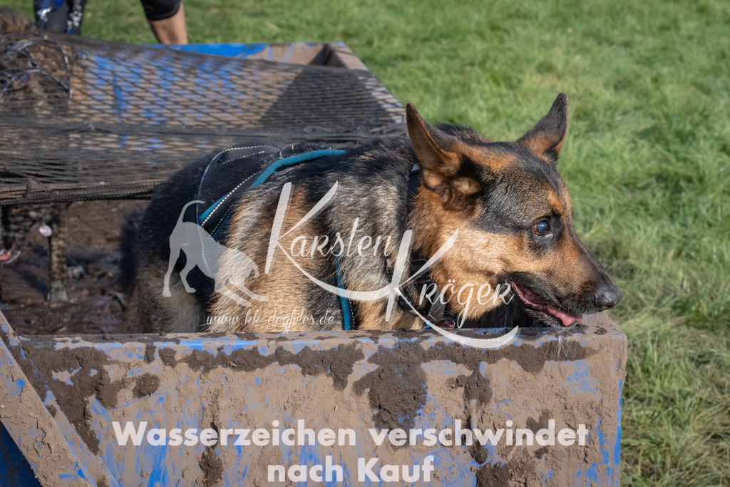 1640_ZZ92729 | kk-dogfotos