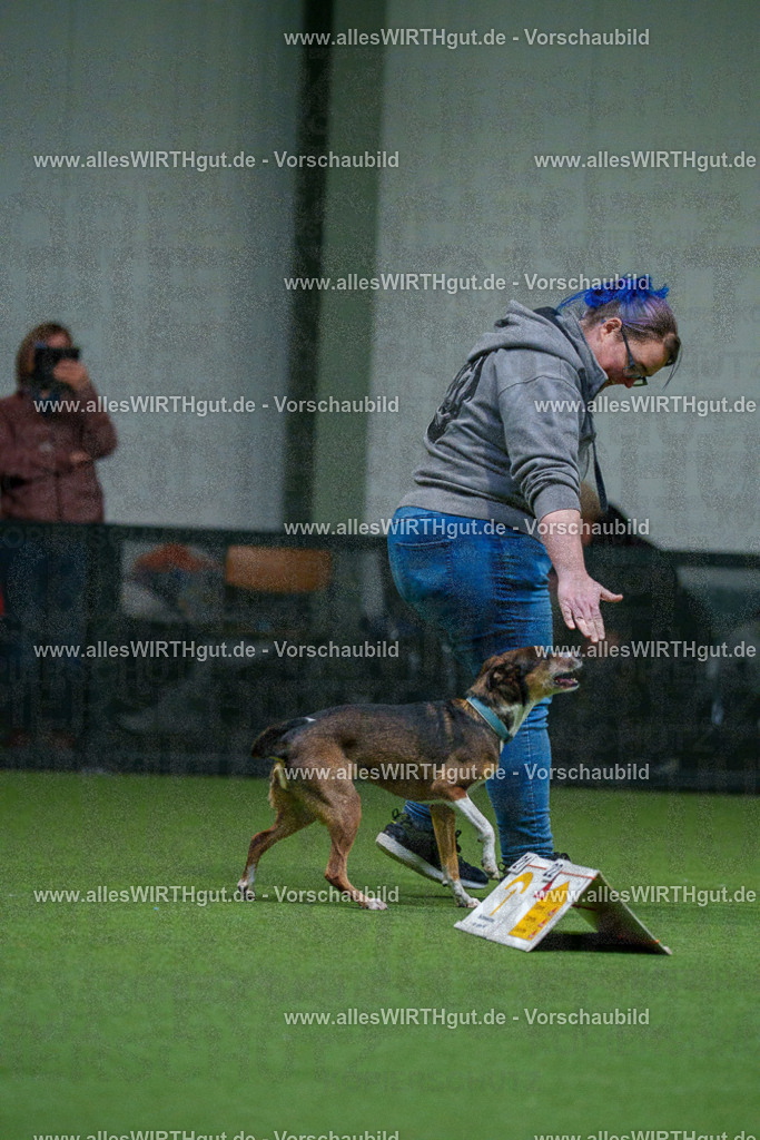 7R503840 | Professionelle Tierfotografie in Mönchengladbach von Daniel Wirth (allesWIRTHgut). Liebevolle & natürliche Bilder von Hunden & Katzen für unvergessliche Erinnerungen.