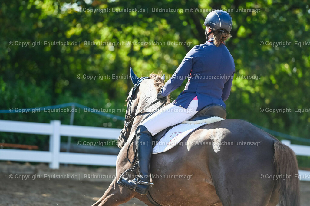 20230715_06_Dressurpferdeprfg. Kl.A_0140 | equistock