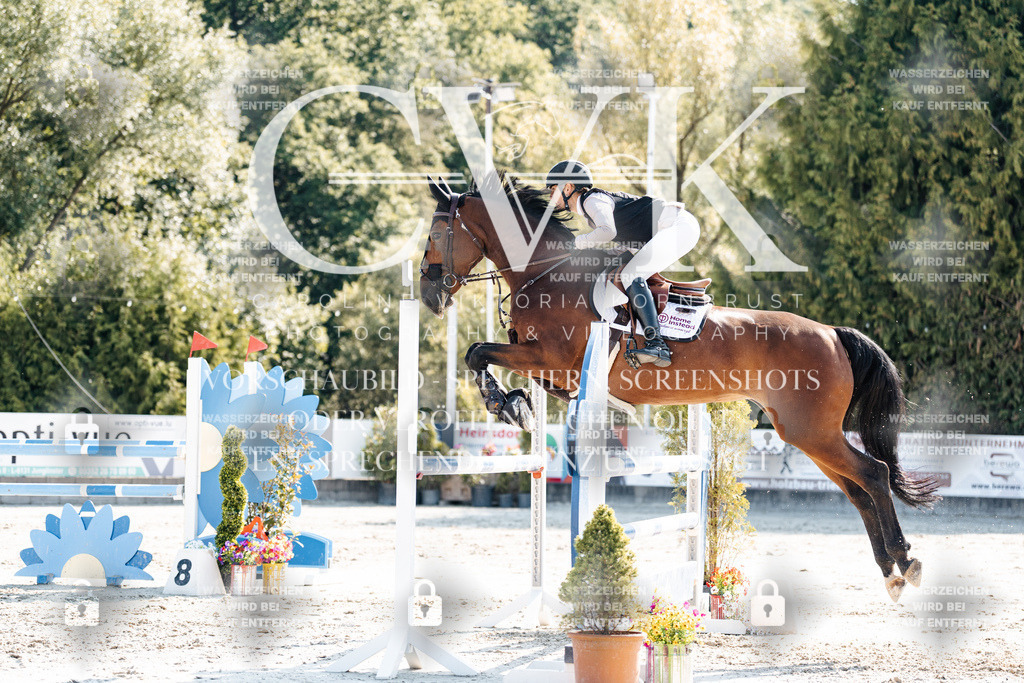 CK902240 | Turnierfotografie Pferdefotografie Trier Rheinland-Pfalz Pferdesport Reitsport Tierfotografie Sportfotografie Pferdevideo Pferdevideografie Equestrianvideography equestrianphotography  - Realisiert mit Pictrs.com