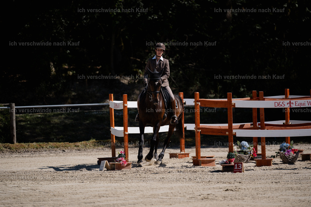 WM_ST_95_stoibphotography__SO11736 | working equitationturnier fotograf videograf stoibphotography marixx film working equitation deutschland reitsport turnierfotografie eventfotografie equestrian events