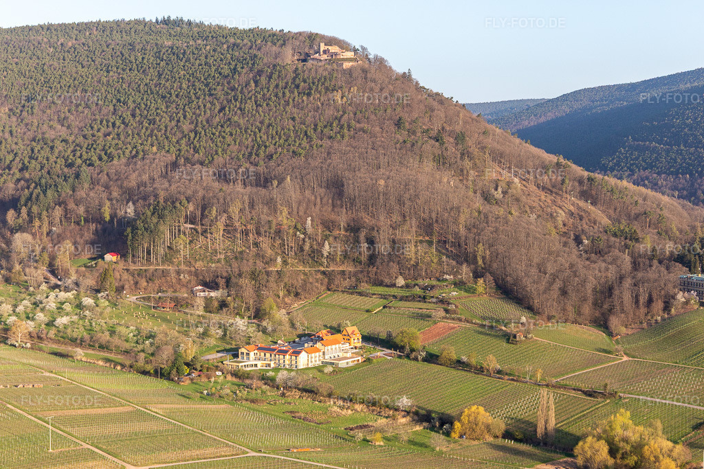 Luftbild: Wohlfühlhotel Alte Rebschule mit Gasthaus Sesel unter der Riedburg in Rhodt unter Rietburg im Bundesland Rheinland-Pfalz in Deutschland. Foto: IMG_126298.jpg vom 04.04.2021 durch Werner Riehm/FLY-FOTO.de