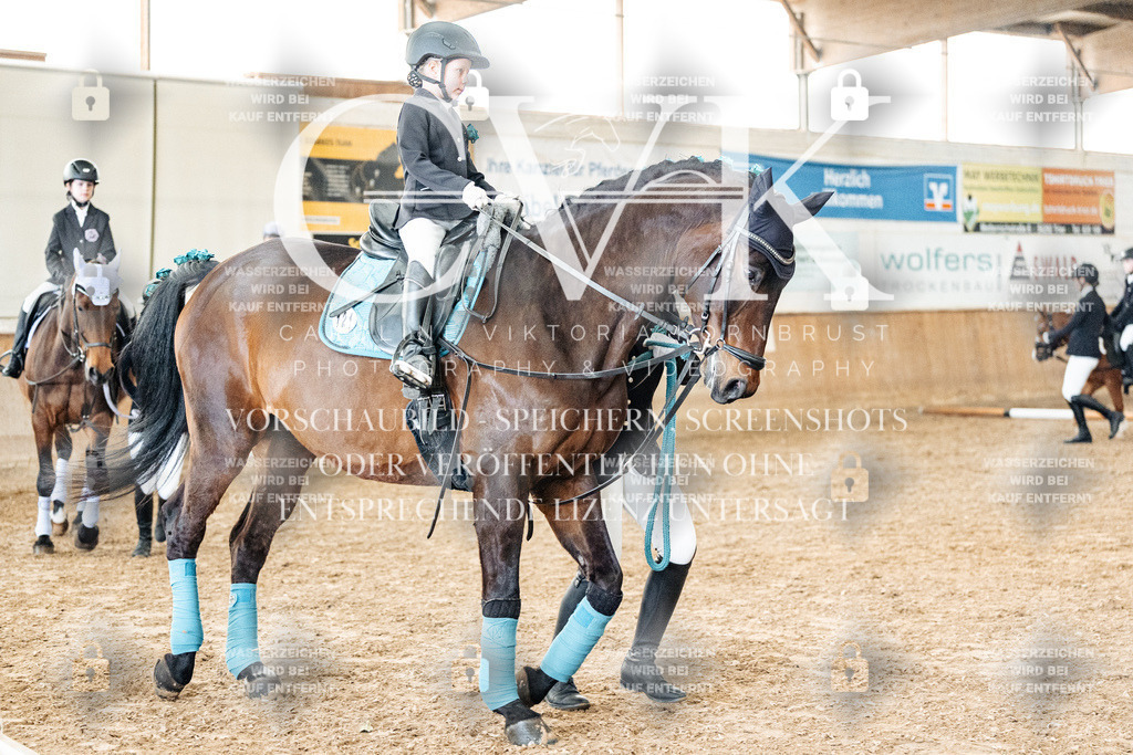 CK905651 | Turnierfotografie Pferdefotografie Trier Rheinland-Pfalz Pferdesport Reitsport Tierfotografie Sportfotografie Pferdevideo Pferdevideografie Equestrianvideography equestrianphotography  - Realized with Pictrs.com