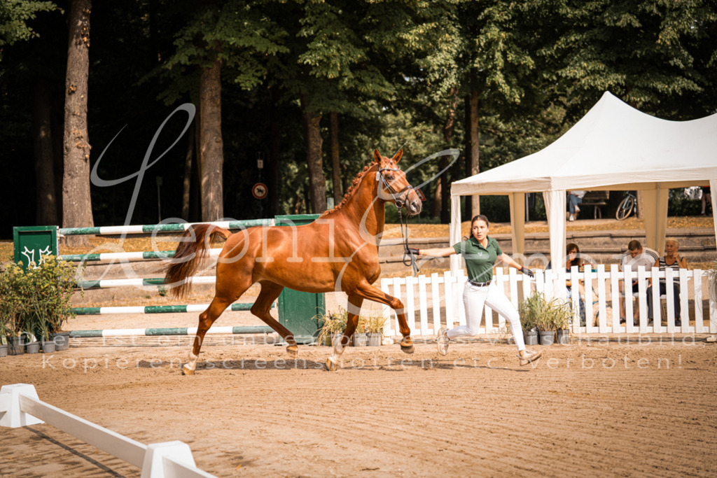 FrER00068 | Leoni Ertmer Photography - Realisiert mit Pictrs.com