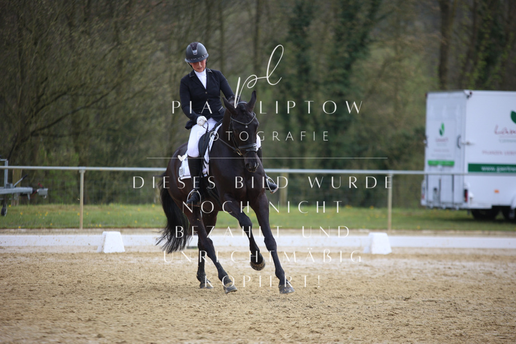 IMGT6198 | pl-fotografie