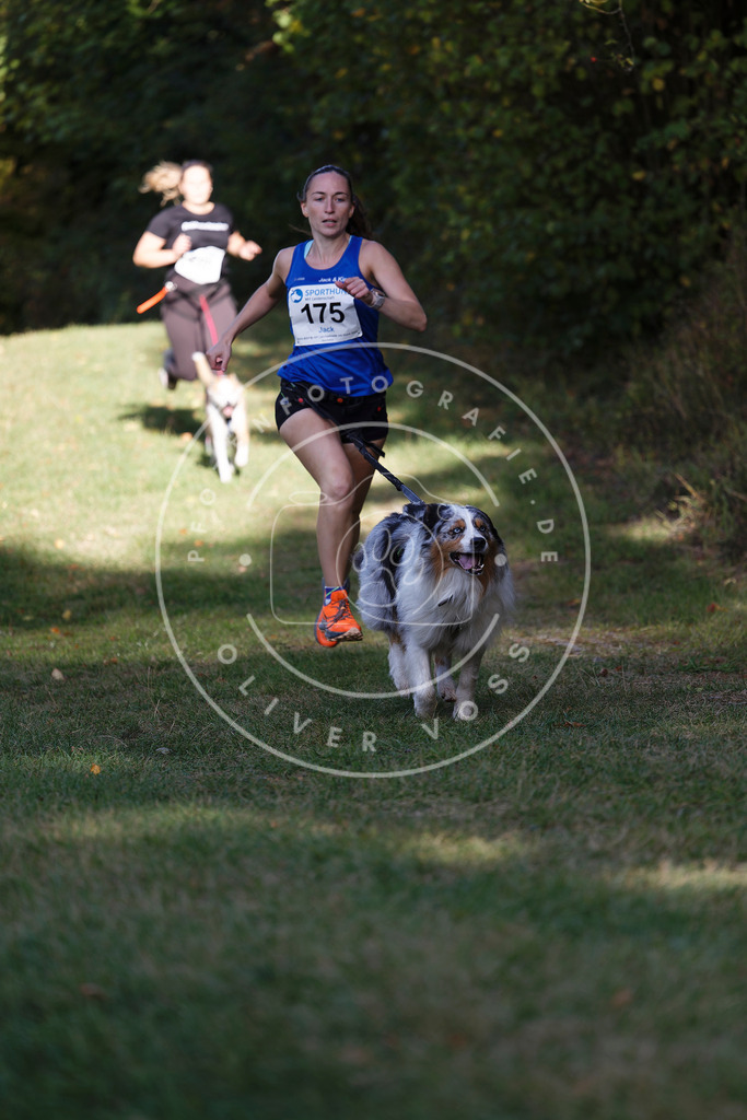 0L8A5580 | Hundefotografie, Tierfotograf, Pfotenfotografie, Fotoshooting Hund, Hunde Portrait, Hundesport, Hundeportraits, Heideshooting, Hunde, Sportfotograf, Hundefotograf, Turnierhundsport, THS,  - Realisiert mit Pictrs.com