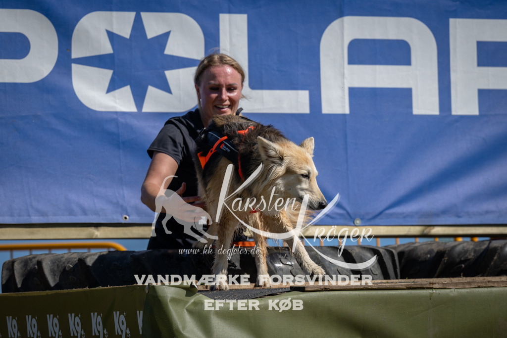 1119_ZZ91277 | kk-dogfotos