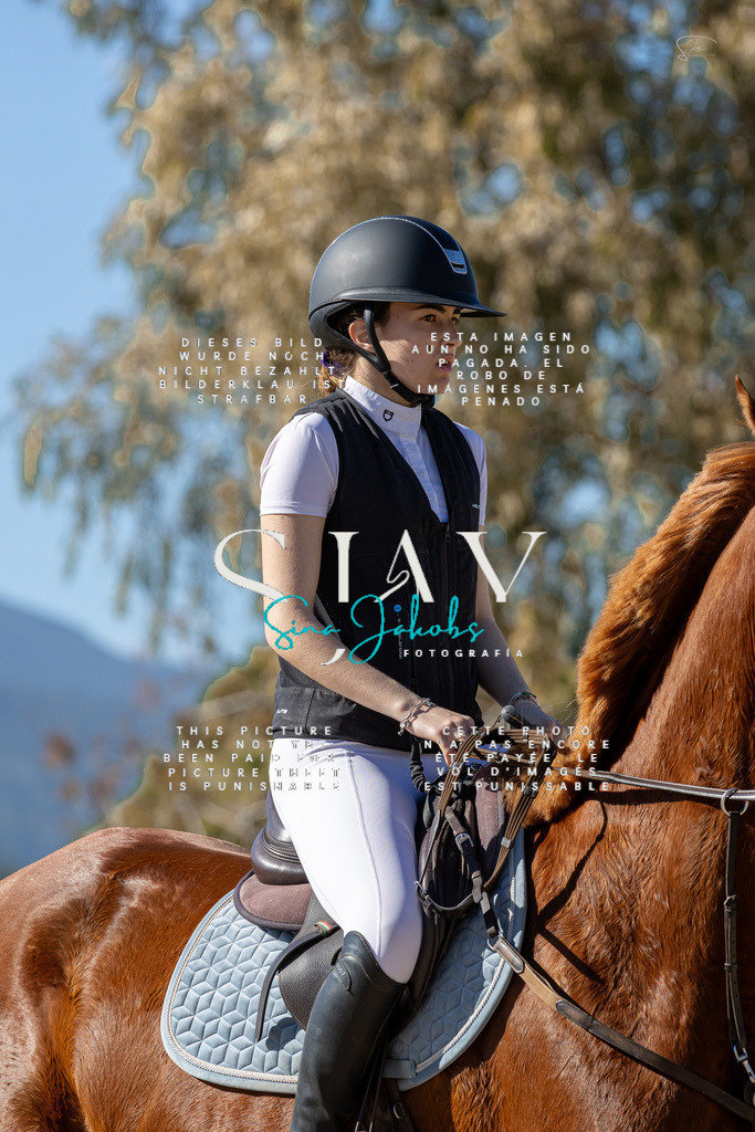 IMG_1028 | s-jay-photography - Realisiert mit Pictrs.com