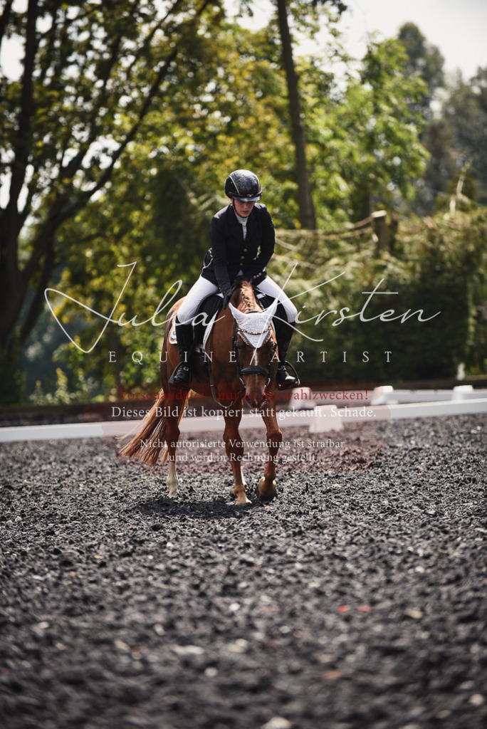 DSC_4245 | Pferde- und Turnierfotografie in Westsachsen. Pferdeportraits, Auftragszeichnungen und intuitive Kunst.