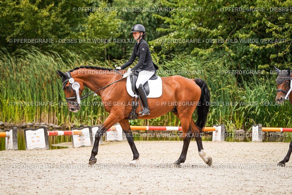 DSC04670 | Pferdegrafie