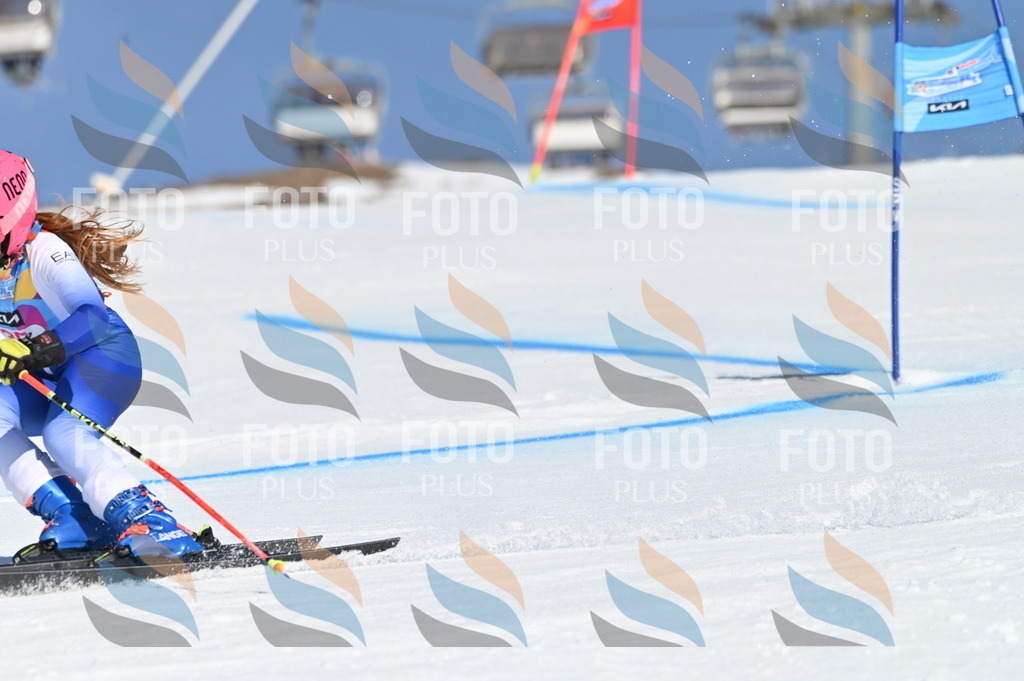 BGV_8253 | holidayphoto