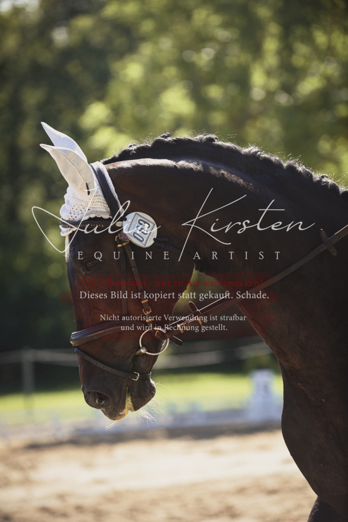 DSC_0412 | Pferde- und Turnierfotografie in Westsachsen. Pferdeportraits, Auftragszeichnungen und intuitive Kunst.